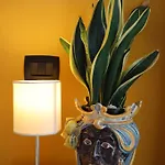 Vendégház Fortuna 3*